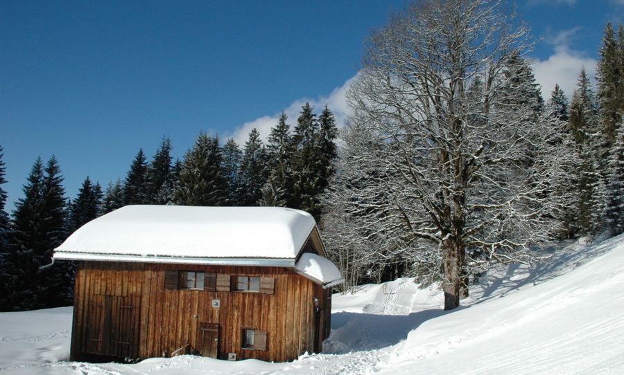 Ferienhütte "Birihof" - Kofler, Laterns Ferienhütte "Birihof" - Kofler, Laterns