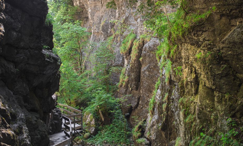 Alplochschlucht Alplochschlucht