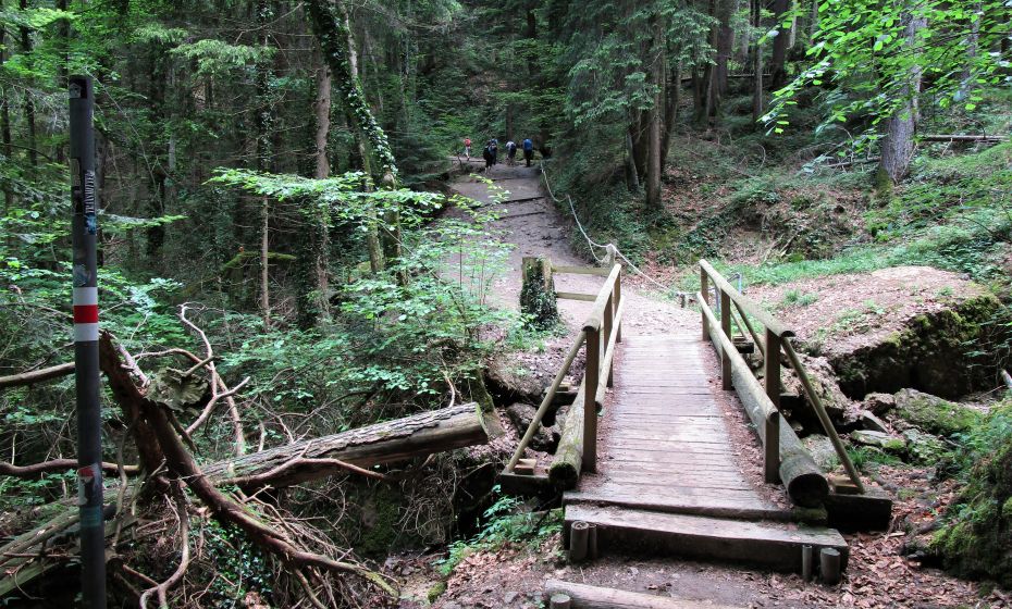 Holzbrücken müssen im feuchten Bergwald immer wieder instandgesetzt werden Holzbrücken müssen im feuchten Bergwald immer wieder instandgesetzt werden