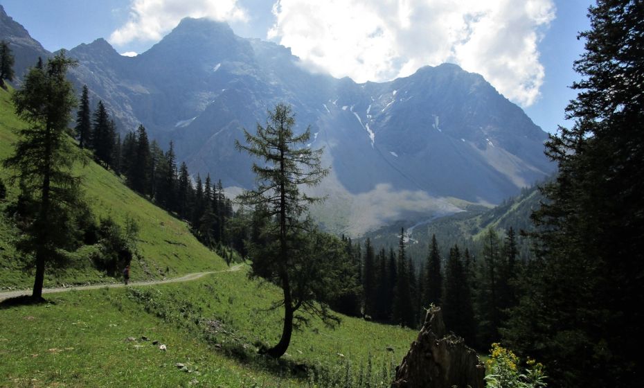 Schritt fÃ¼r Schritt sehen wir mehr von der wildromantischen Landschaft um den Hirschsee