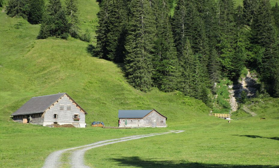 Ab dem Steg hinter der Hintergarnitzaalpe beginnt der Anstieg zur Unteren Saluveralpe Ab dem Steg hinter der Hintergarnitzaalpe beginnt der Anstieg zur Unteren Saluveralpe