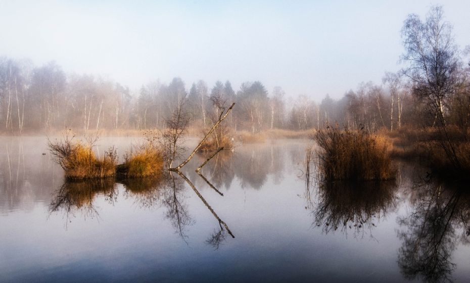 Stiplovsek Dietmar .jpg.jpeg