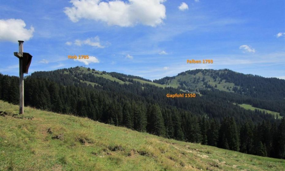 Blick zurÃ¼ck auf die Bergstation Gapfohl