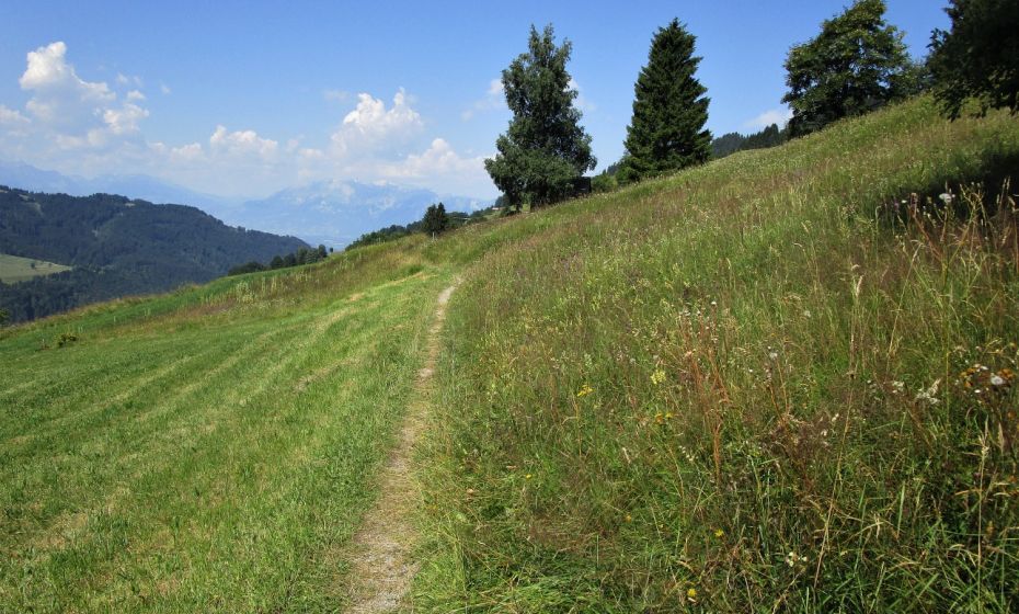 Erich Zucalli - www.guideservice.at Schönen Schlucht- und Waldwegen folgen immer wieder angenehme Wiesenwege