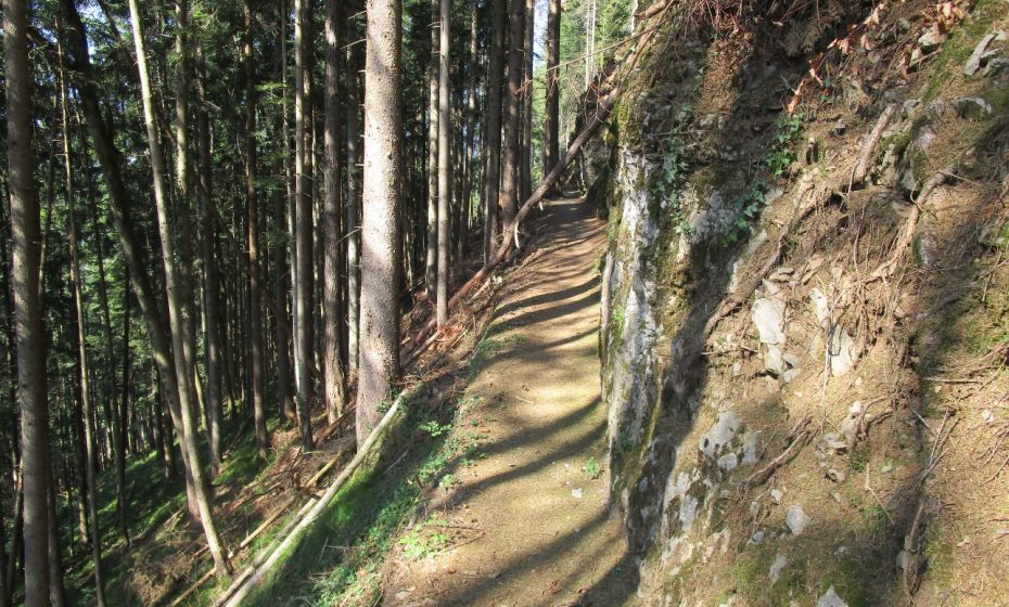 Erich Zucalli - www.guideservice.at gut gepflegter Weg entlang der Kalkwände zum Egelsee