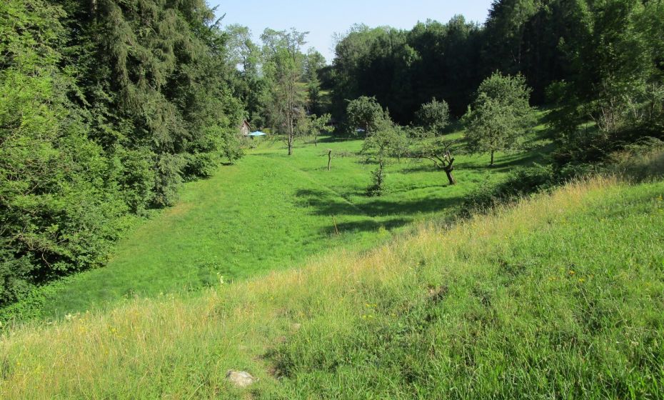 Durch schÃ¶ne alte Kulturlandschaft zum Ausgangspunkt Kobel