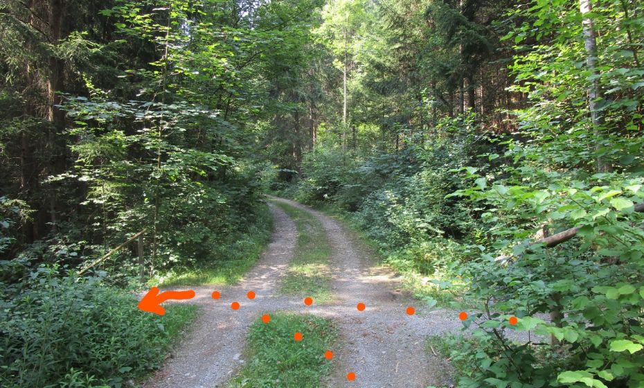 An dieser Stelle fehlt der Wegweiser. Unbedingt links die Treppe absteigen. Geradeaus fÃ¼hrt der Weg in die Sackgasse.