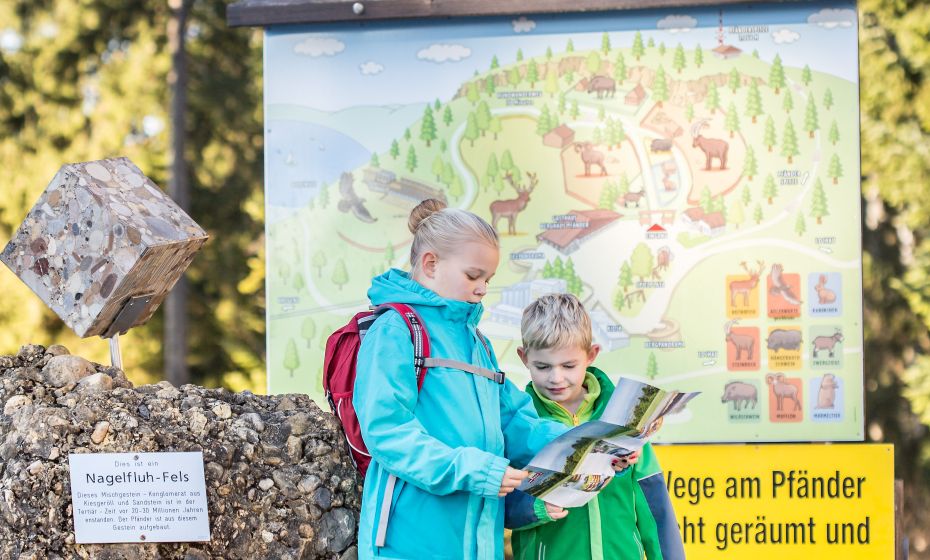 Pfänder Alpenwildpark Pfänder Alpenwildpark
