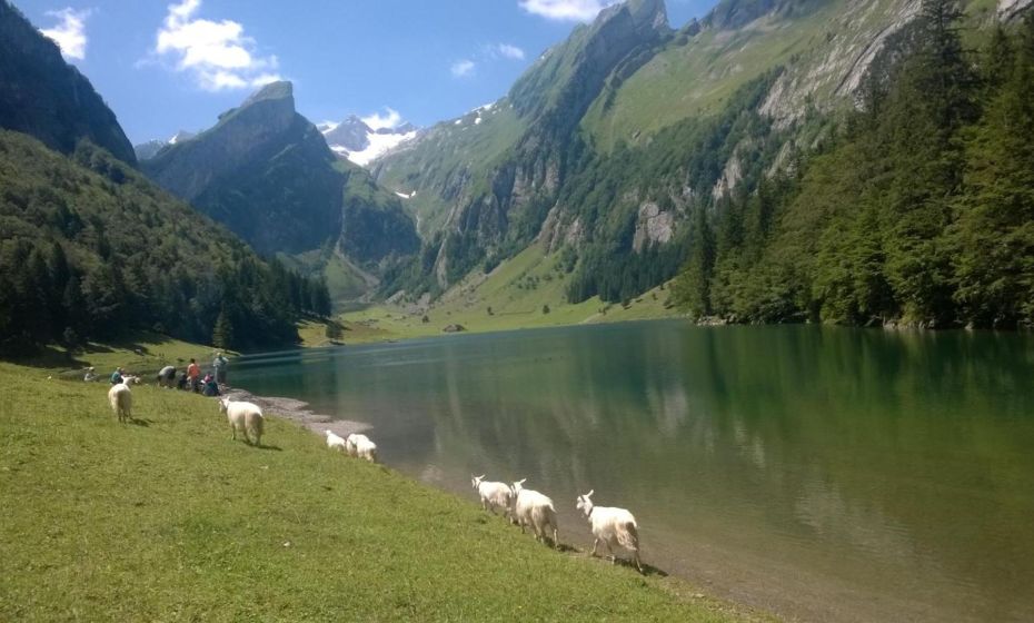 F E R I E N W O H N U N G "Am Halbenstein" F E R I E N W O H N U N G "Am Halbenstein"