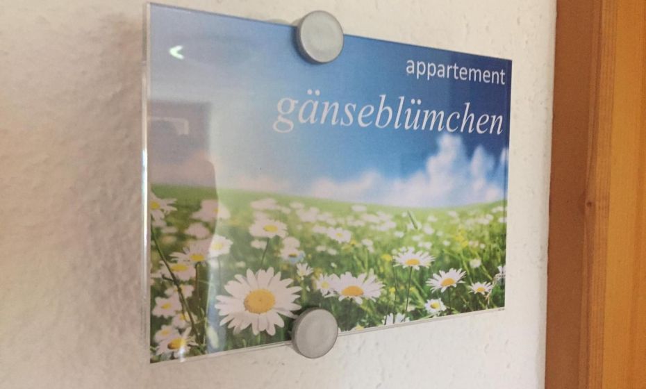 Sunnaschi Appartements - Wohnungen oder gesamt als "HÃ¼tte"