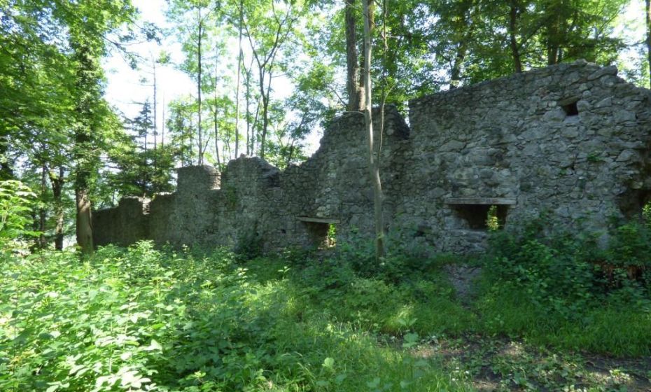 Barbara Neyer .jpg.jpeg