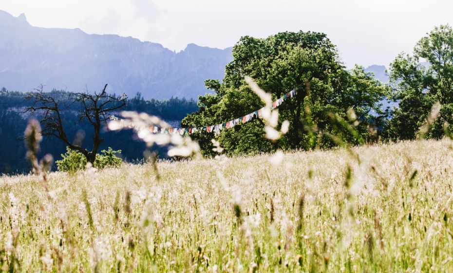 Feldkirch Frühling Feldkirch Frühling