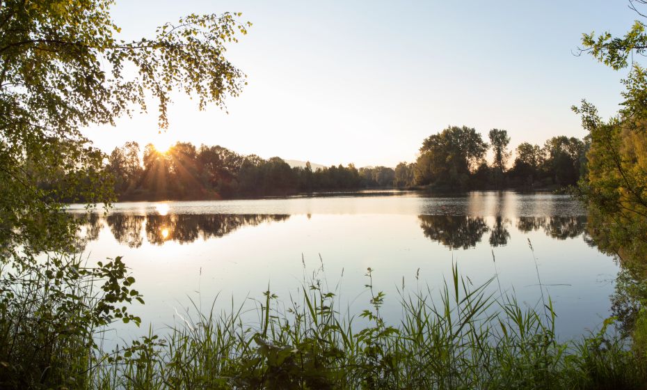 Sonnenuntergang Alter Rhein Hohenems