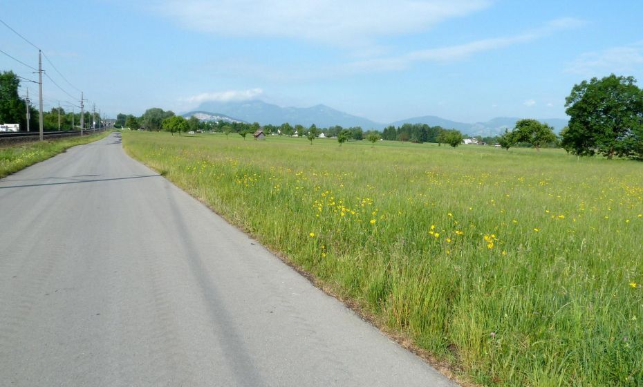 Der Radweg entlang der Bahnschienen