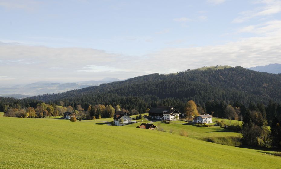 Wiesen und HÃ¶fe bzw. kleine Siedlungen prÃ¤gen weite Teile der Wanderung am PfÃ¤nderrÃ¼cken.