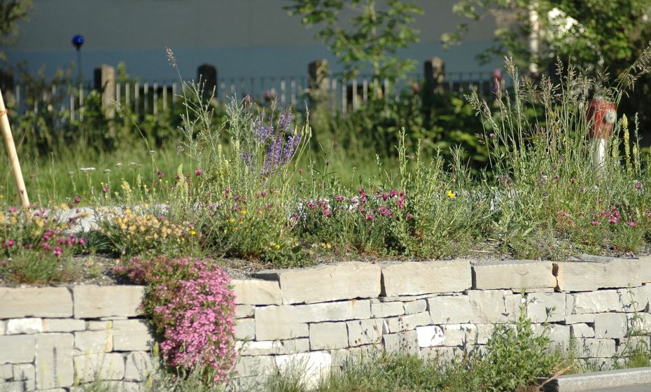 Trockensteinmauer "Wildbienen-Bahnhof" Rankweil