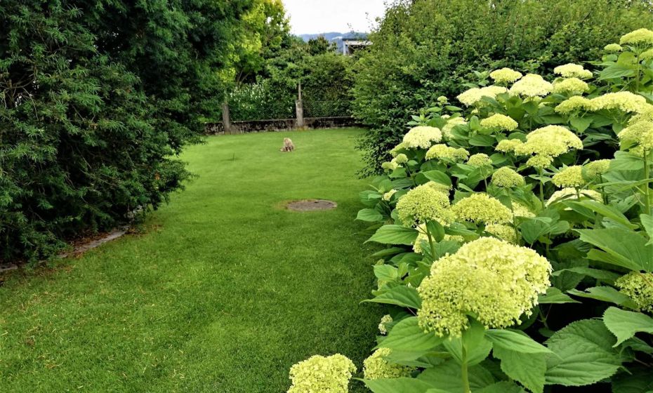 Ferienhaus HÃ¤mmerleÂ´s