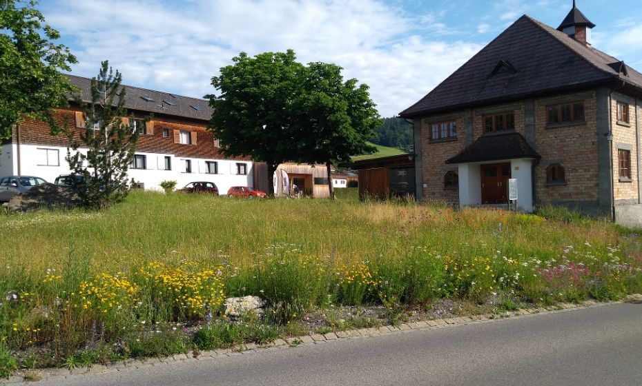 Gemeinde Göfis - Gemeinde Göfis Blührand Vereinshauswiese