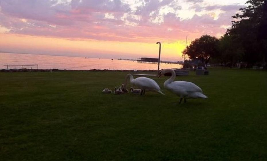 Bodensee-Ferienwohnung Am Ruggbach Bodensee-Ferienwohnung Am Ruggbach