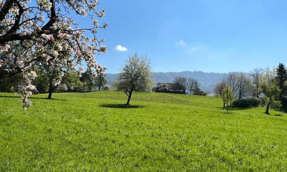 Gasthof - Auszeit im Bad Diezlings - Adults only Gasthof - Auszeit im Bad Diezlings - Adults only