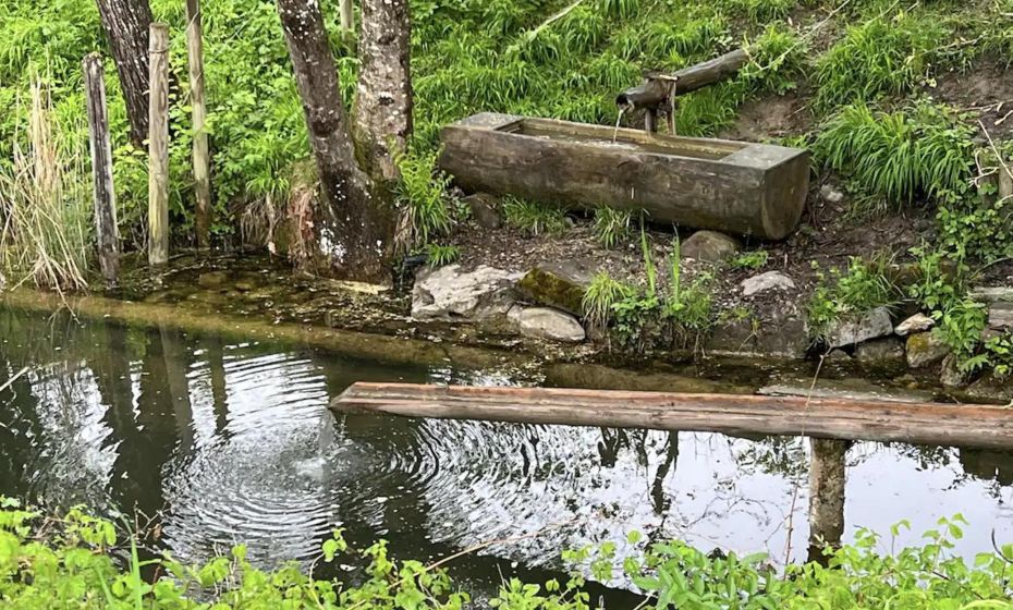 Gasthof - Auszeit im Bad Diezlings - Adults only Gasthof - Auszeit im Bad Diezlings - Adults only