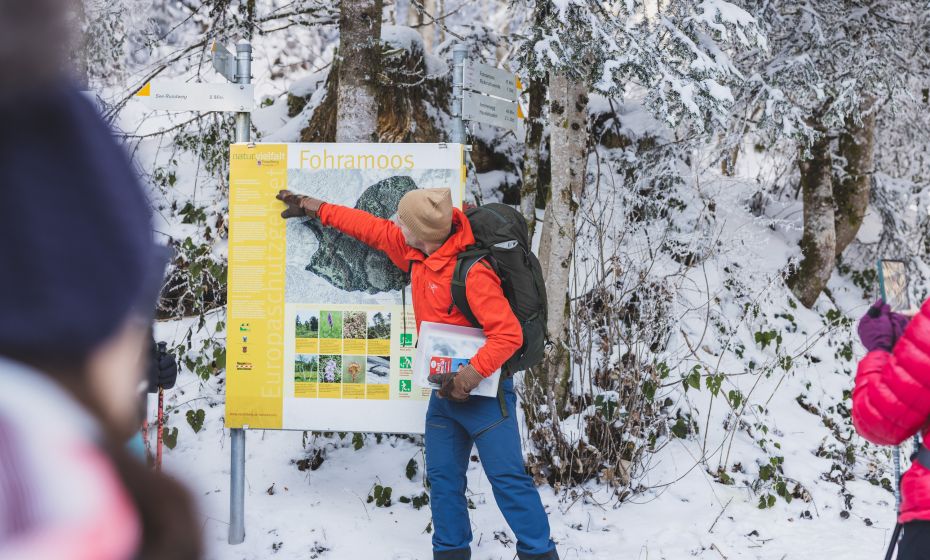 Naturpicknick Bödele