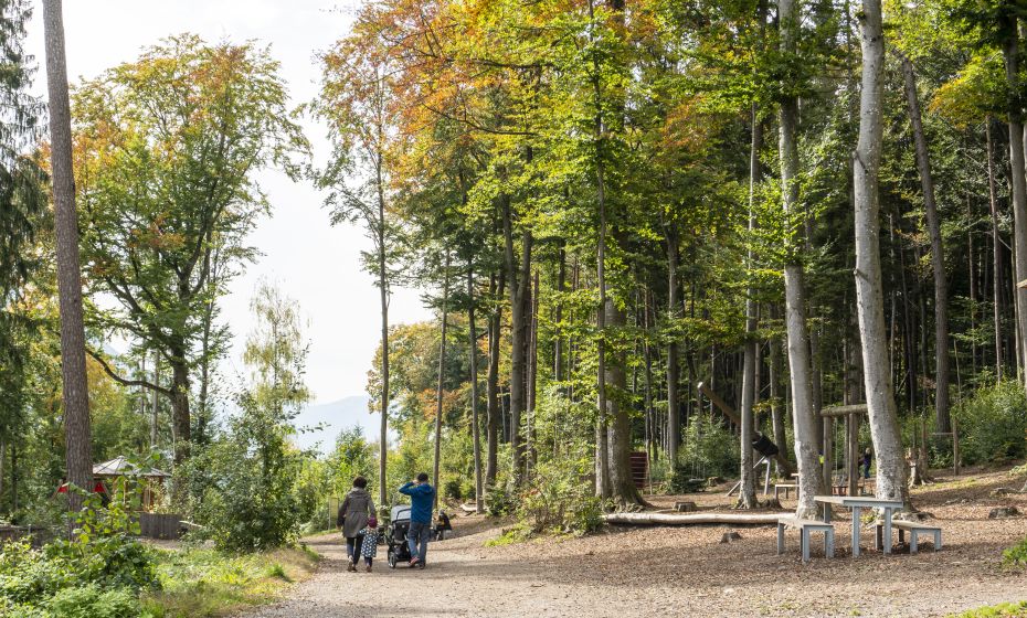 Wildpark Feldkirch Wildpark Feldkirch