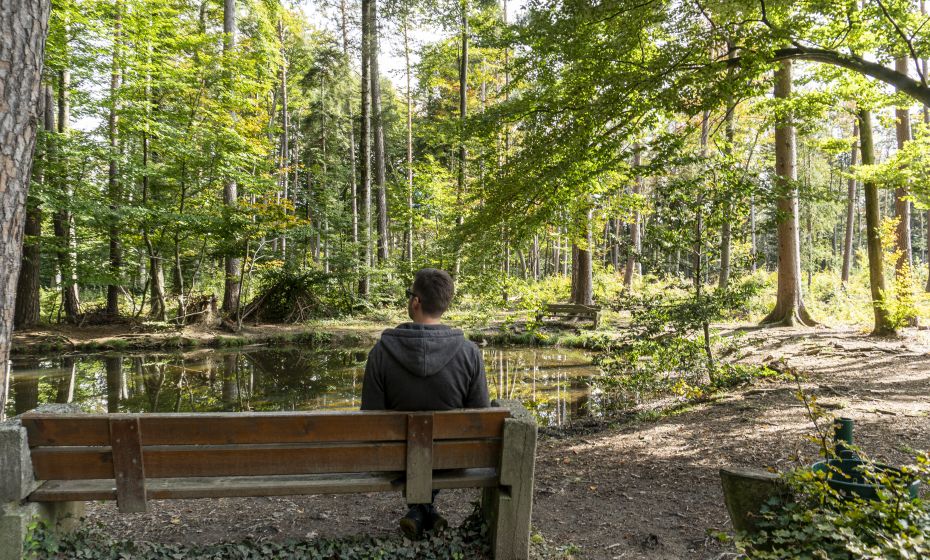 Wildpark Feldkirch SautrÃ¤nke