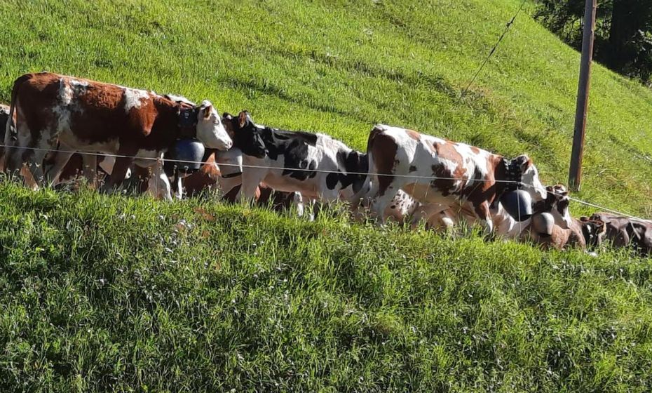 Sunnaschi Appartements - Wohnungen oder gesamt als "Hütte" Sunnaschi Appartements - Wohnungen oder gesamt als "Hütte"
