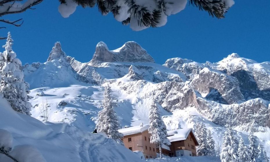 Ferienhaus Haus im Garten