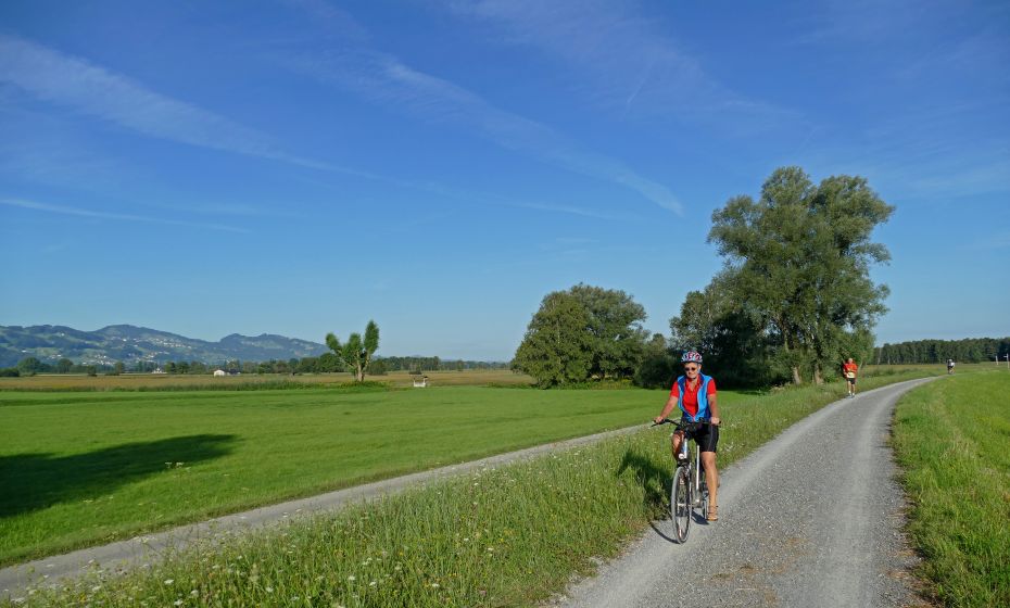 Radfahren Rheindelta