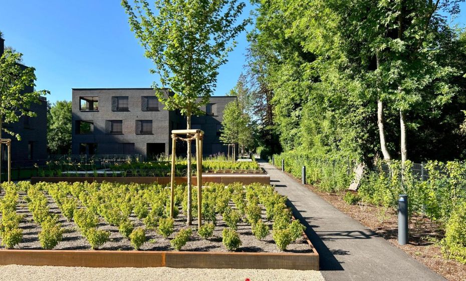 Seeparkvilla â WohlfÃ¼hlen am See und im GrÃ¼nen