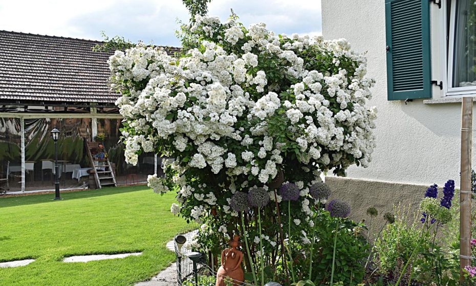 Hotel Restaurant Mohren