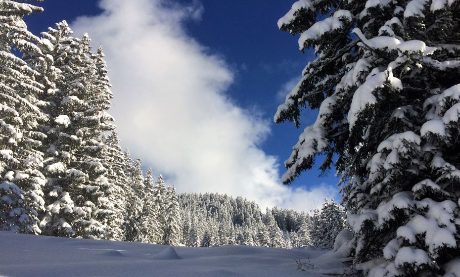 verschneite Landschaft verschneite Landschaft