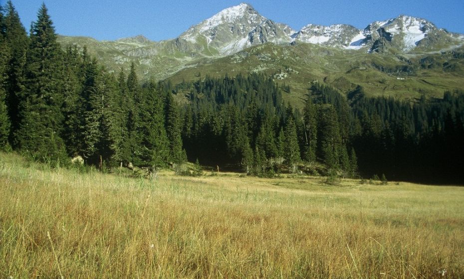 Wildried mit Blick zur Lobspitze Wildried mit Blick zur Lobspitze