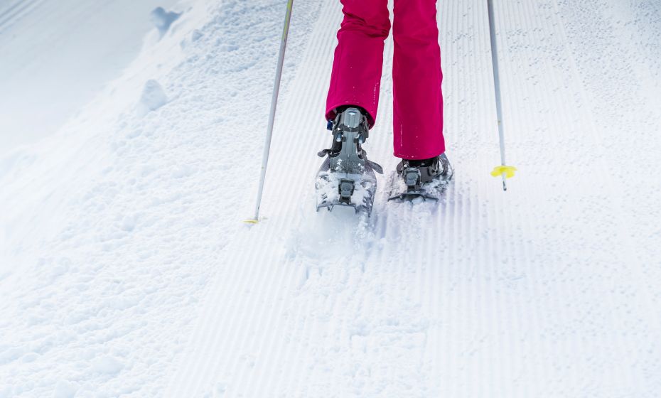 Schneeschuhwandern