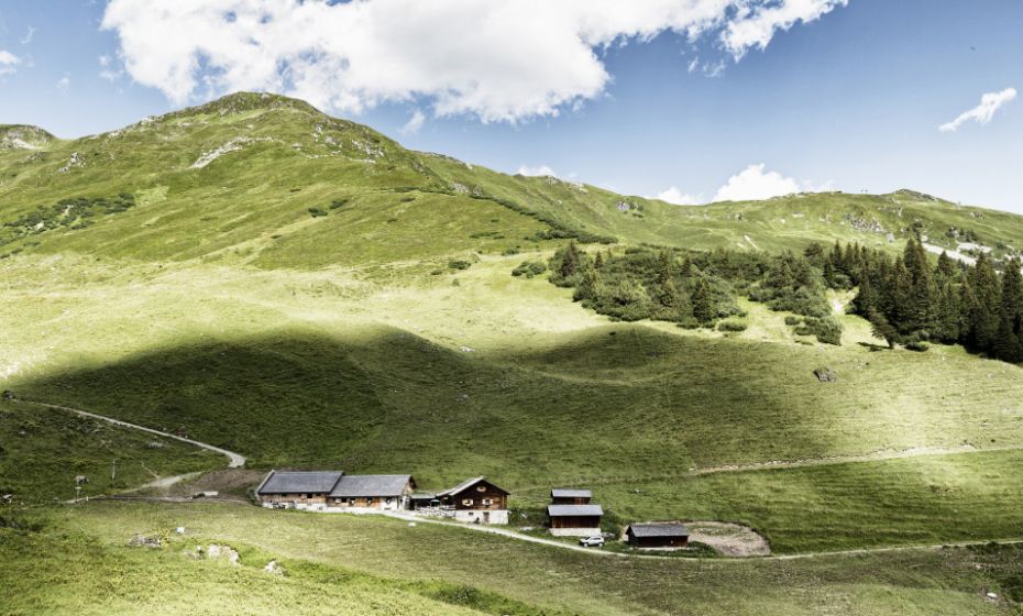 Alpe Latschätz Alpe Latschätz