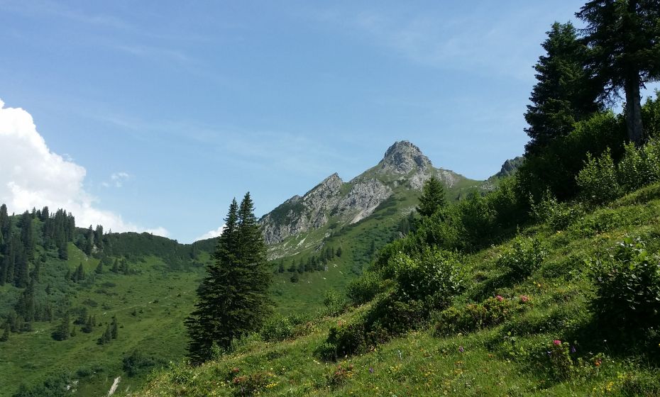 __NO_NAME__ __NO_NAME__