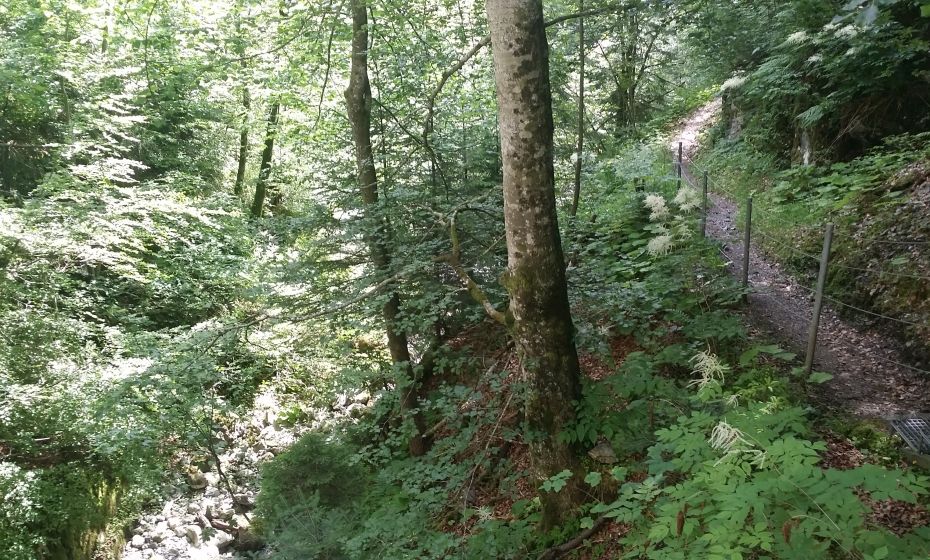 Schluchtweg