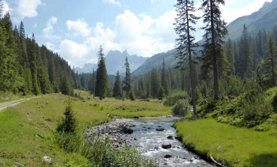 Hinteres Silbertal im Europaschutzgebiet Verwall Hinteres Silbertal im Europaschutzgebiet Verwall