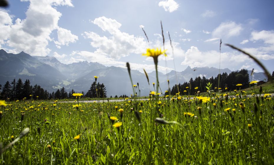 Blick von BartholomÃ¤berg