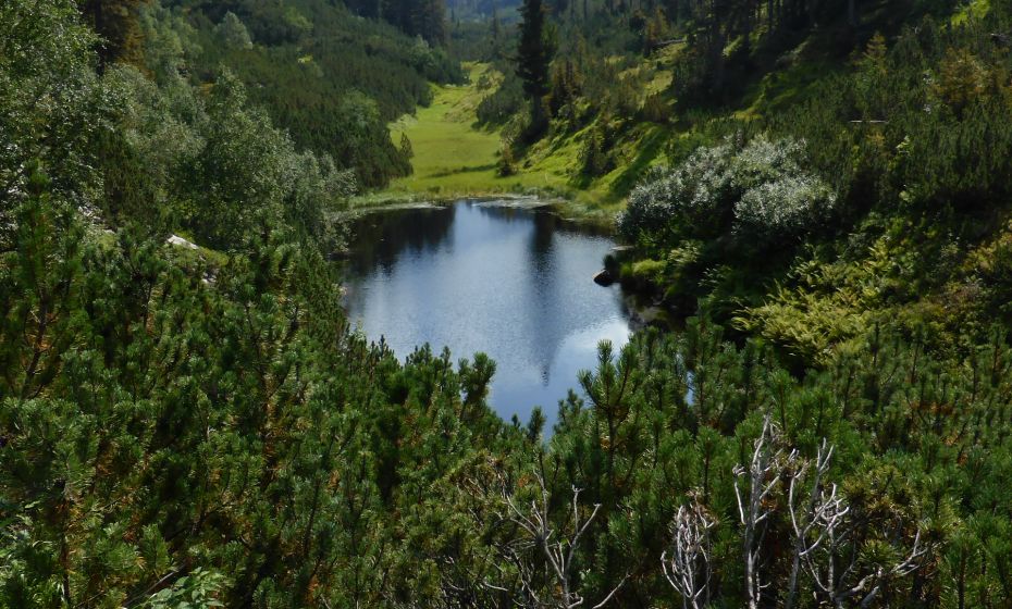 Christina Wachter - Montafon Tourismus GmbH_(c)_Christina Wachter .jpg.jpeg