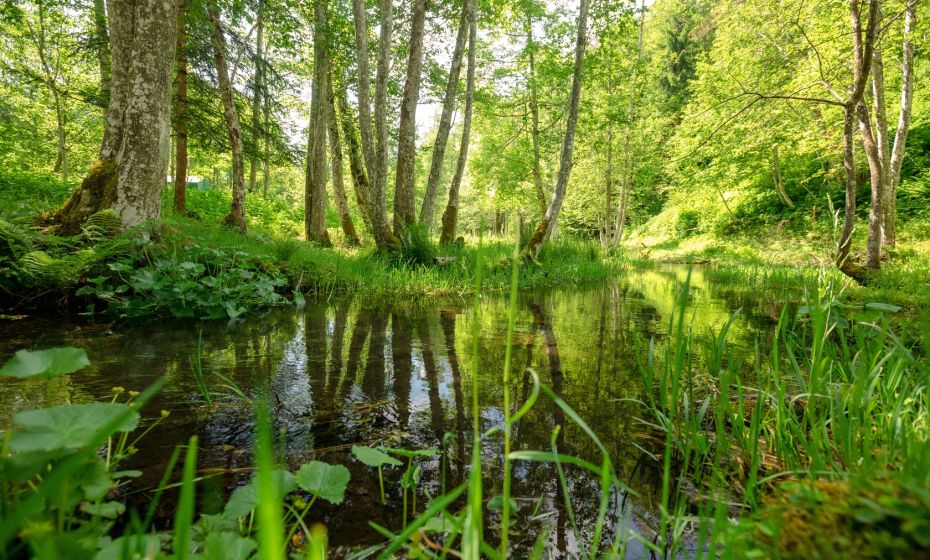 Talweg von St. Gallenkirch nach Partenen Talweg von St. Gallenkirch nach Partenen