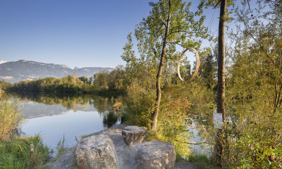 Alter Rhein Lustenau