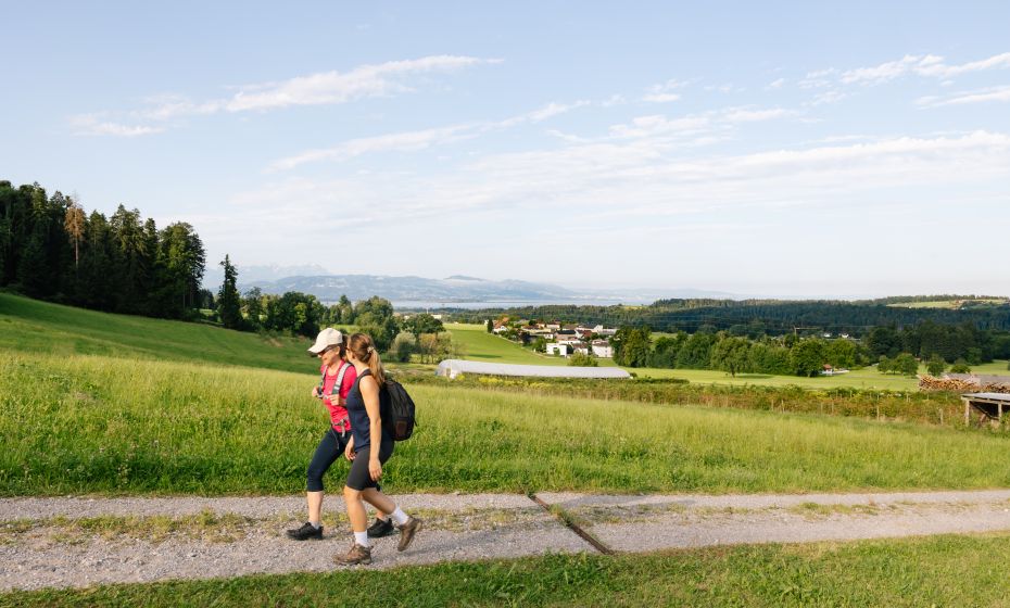 Wanderung Hohenweiler (c) Jessica Lerchenmueller (3)