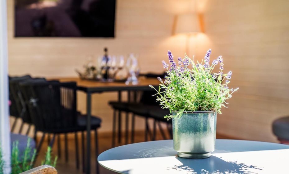 Bregenzer Traum am Bodensee inkl FahrrÃ¤der