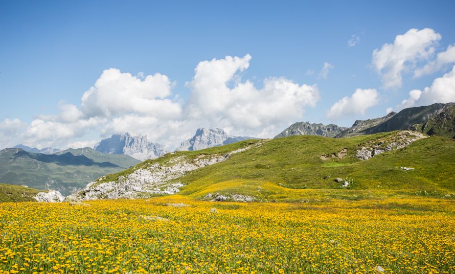 Unterhalb der RÃ¤tschenfluh mit Blick Richtung Drusenfluh und Sulzfluh