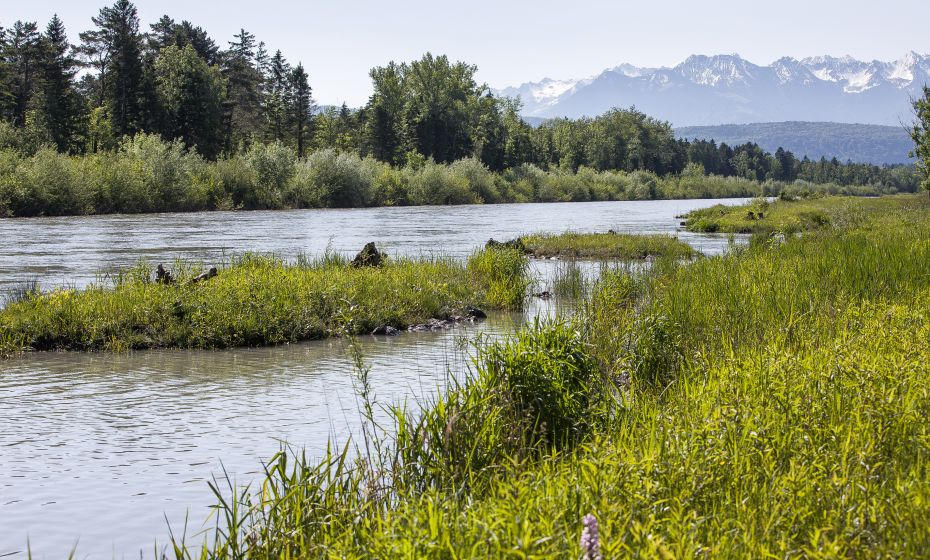 35b_Illspitz_CRwalser