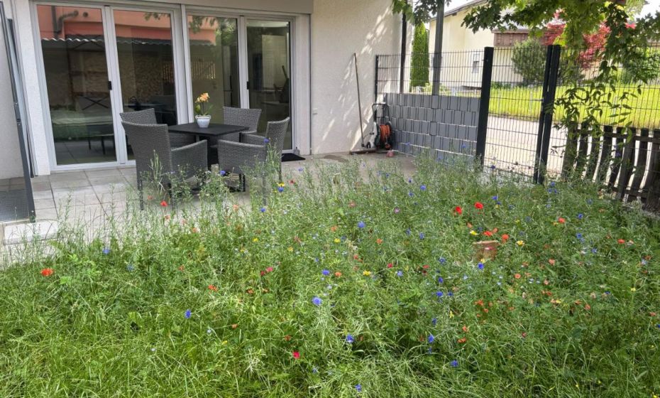 Charmante Ferienwohnung in bester Lage