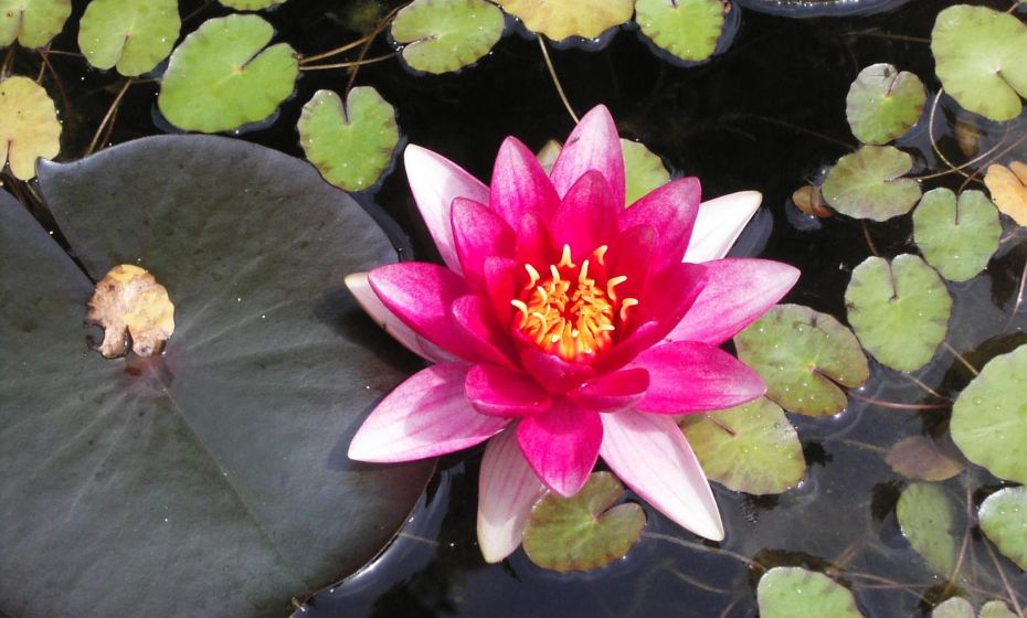 Ferienwohnung Geismayr Ferienwohnung Geismayr